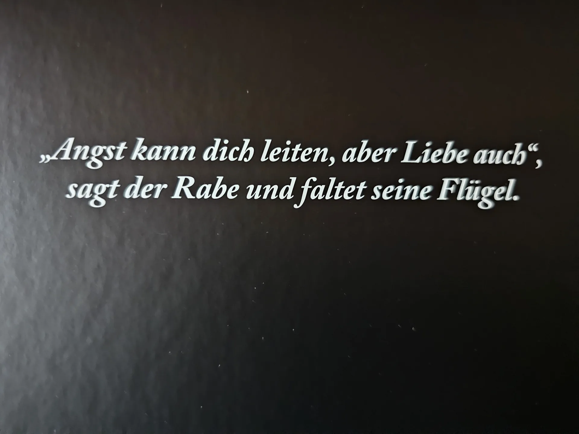 Bild