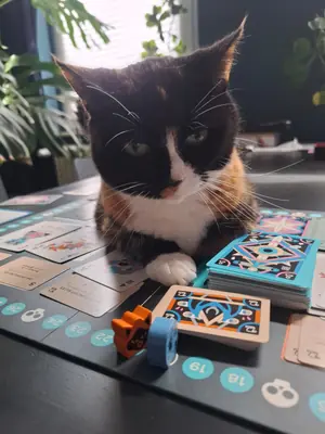 Beitragsbild